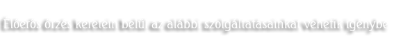 Élőerős őrzés keretein belül az alábbi szolgáltatásainkat vehetik igénybe: